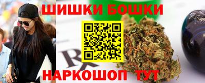 гашик Заводоуковск